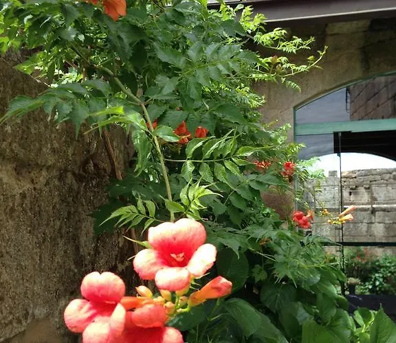 Monumento Castelo De 3* Maceda